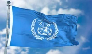 bandera de la omi